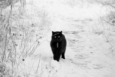 Прикрепленное изображение: IMG_6128_.jpg